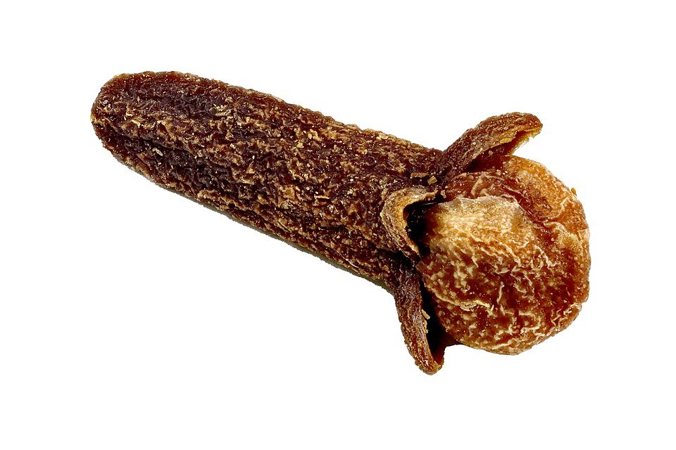 Cloves (Laung) plant
