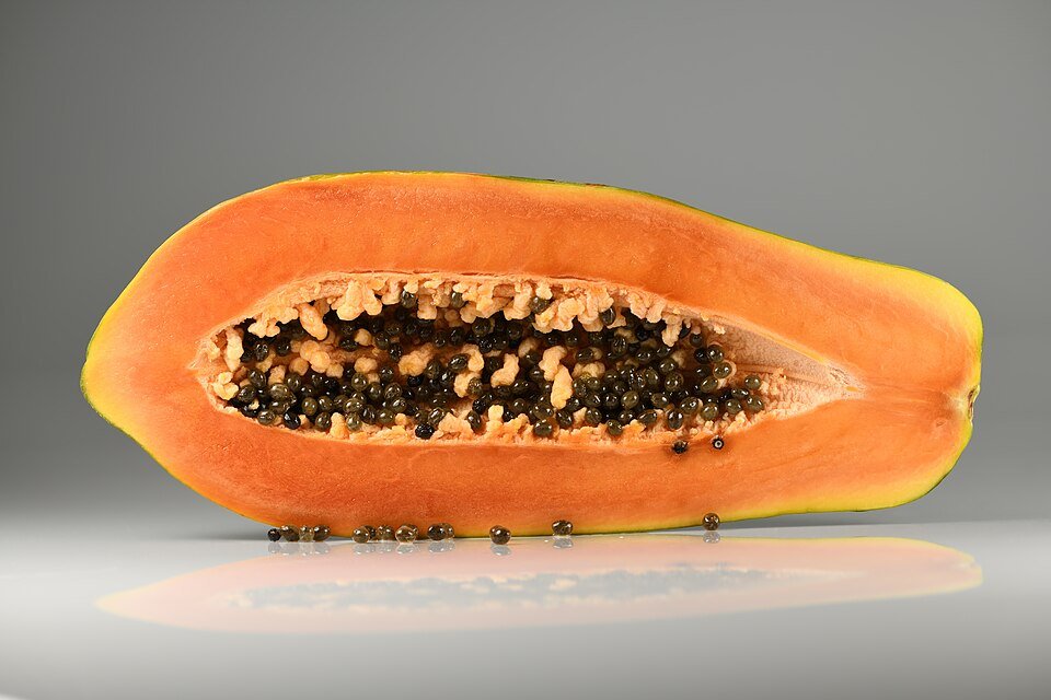 Papaya plant