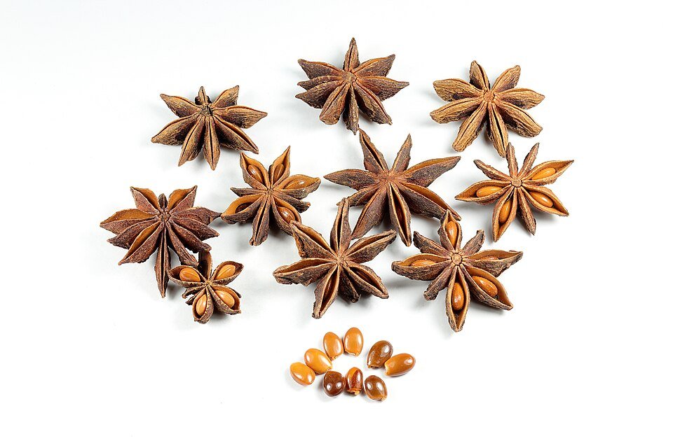 Star Anise plant