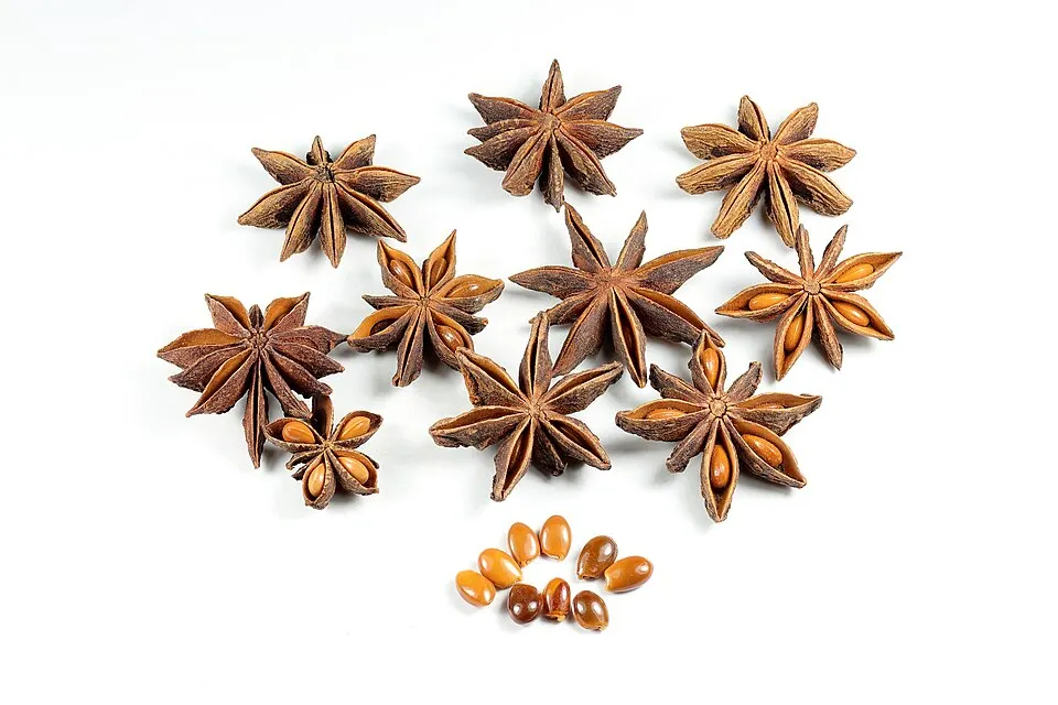 Star Anise (Illicium verum)