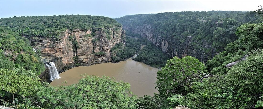 Why Insect Decline Is a Crisis for Indian Ecosystems