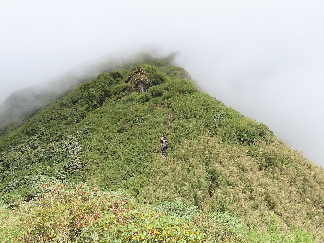 Valley of Flowers Trek: Complete Guide for First-Timers