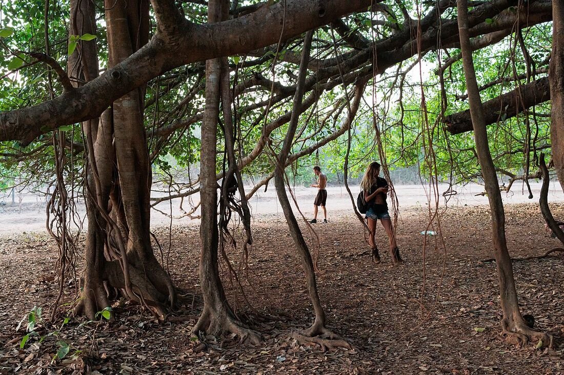 Orans of Rajasthan: Sacred Community Forests