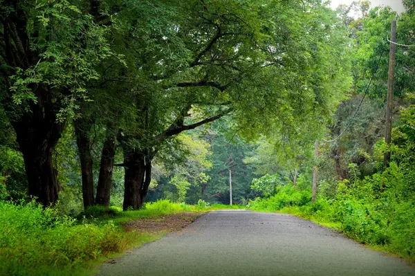 Environment